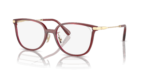 Coach 0HC6214D
