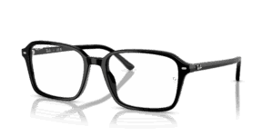 Ray-Ban 0RB2231F - Raimond