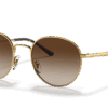 Ray-Ban 0RB3681
