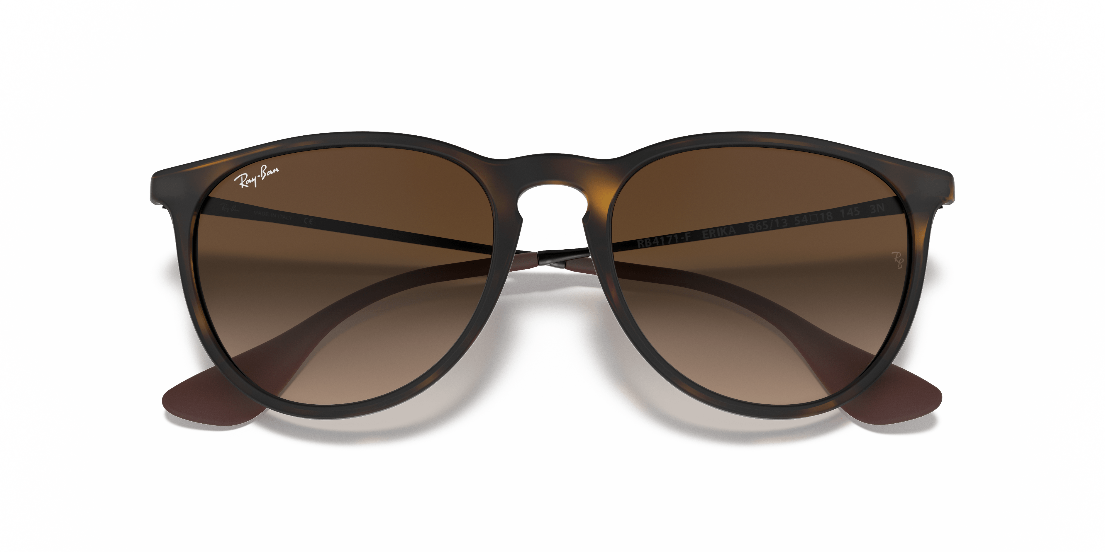 Ray-Ban 0RB4171F - Erika