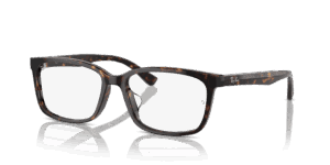 Ray-Ban 0RX5319D