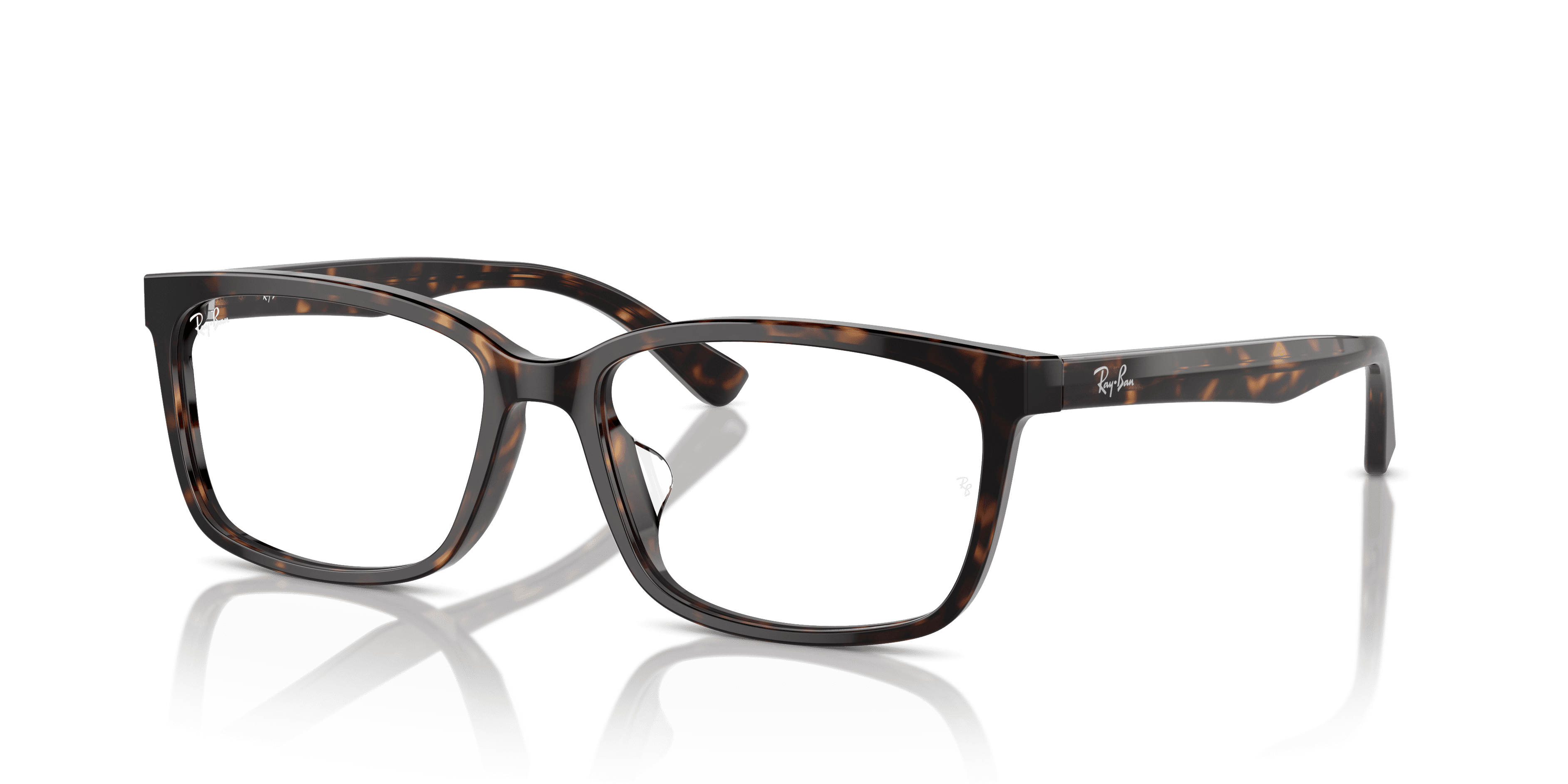 Ray-Ban 0RX5319D