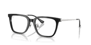 Ray-Ban 0RX5442D