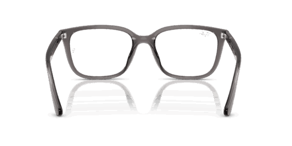 Ray-Ban 0RX7248D