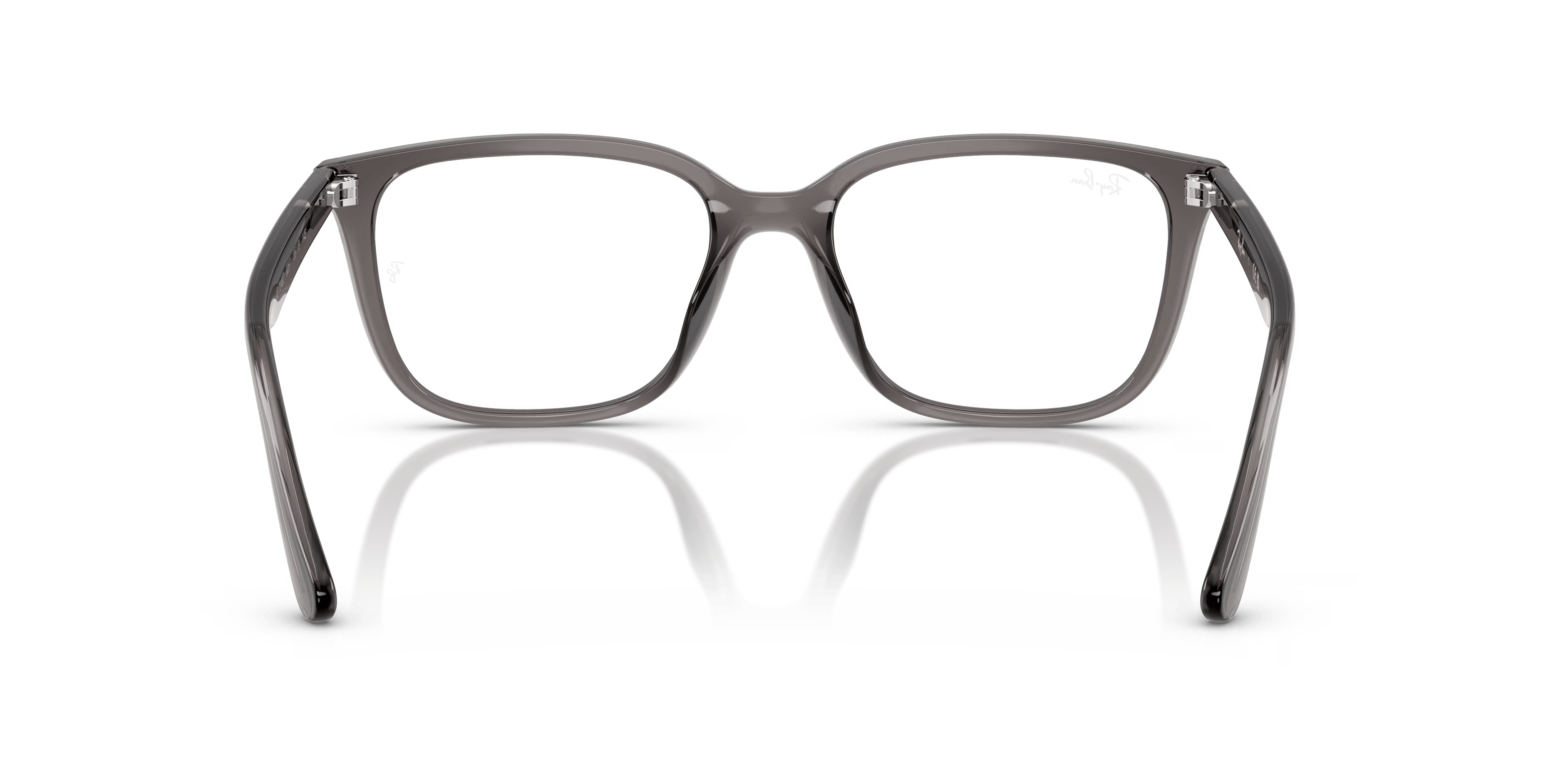 Ray-Ban 0RX7248D