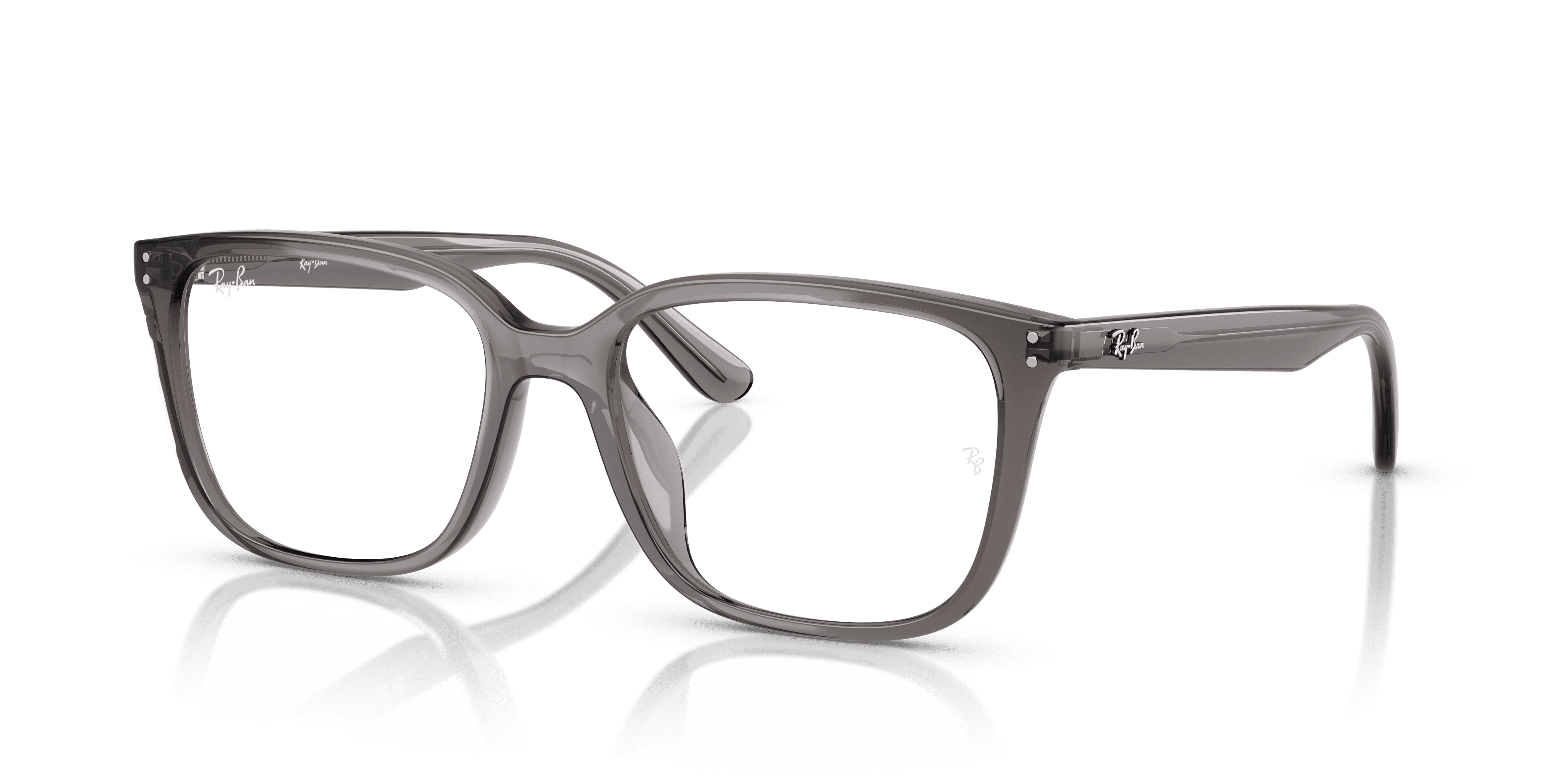 Ray-Ban 0RX7248D
