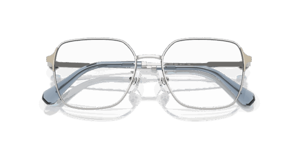Swarovski 0SK1020D
