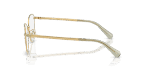 Swarovski 0SK1029D