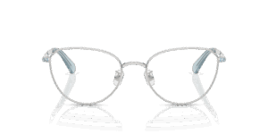 Swarovski 0SK1029D