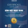 Essilor Certificate