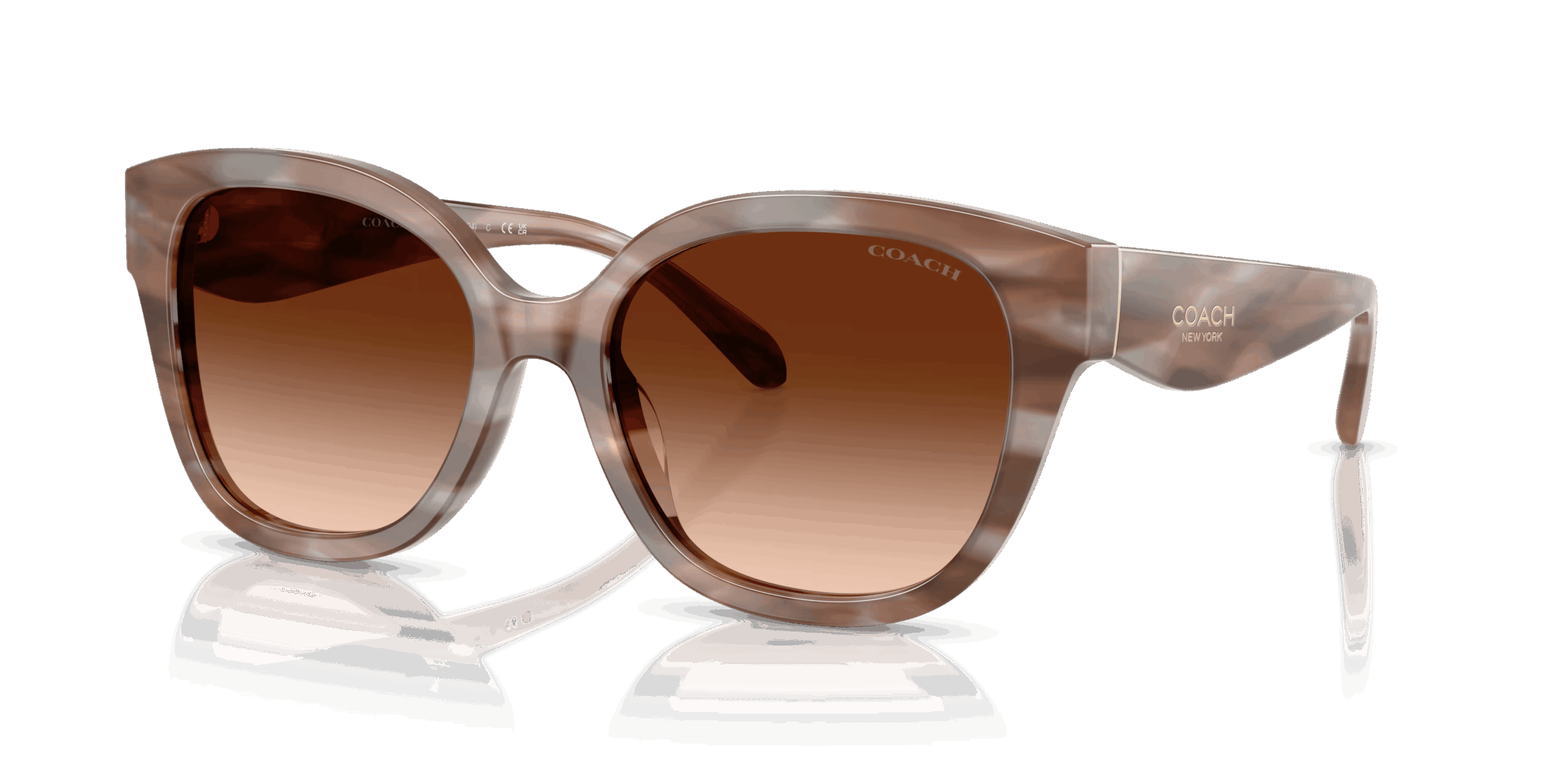 Coach 0HC8438U - Cby94