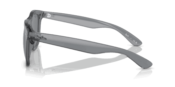 Ray-Ban 0RB4260D