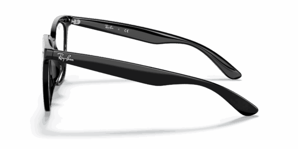 Ray-Ban Optical 0RX4379VD