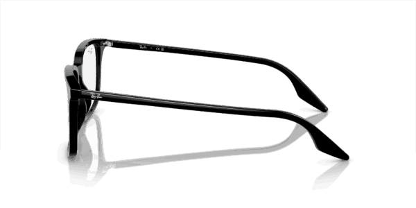 Ray-Ban Optical 0RX5421F
