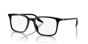 Ray-Ban Optical 0RX5421F